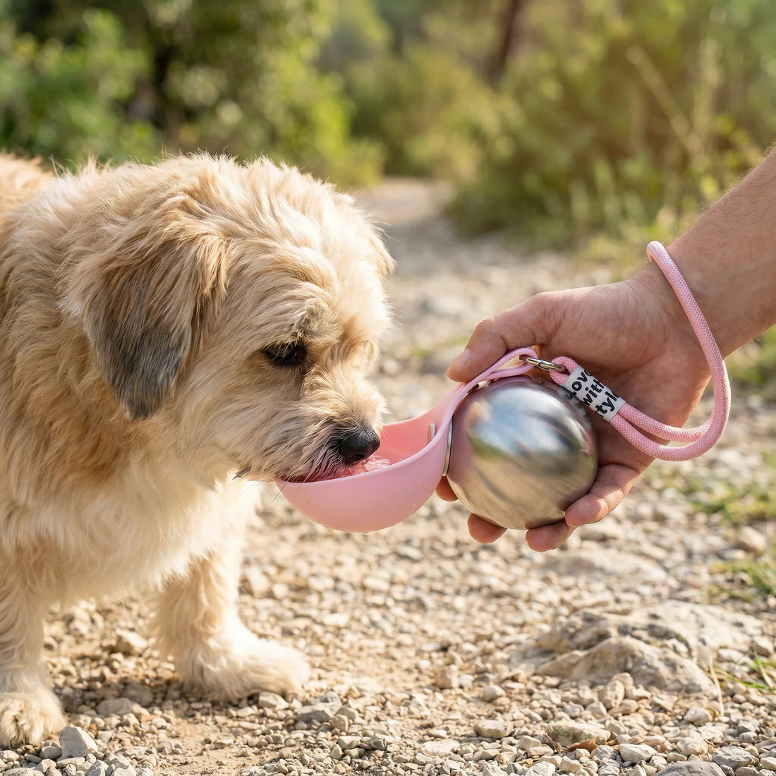 Portable Pup Cup